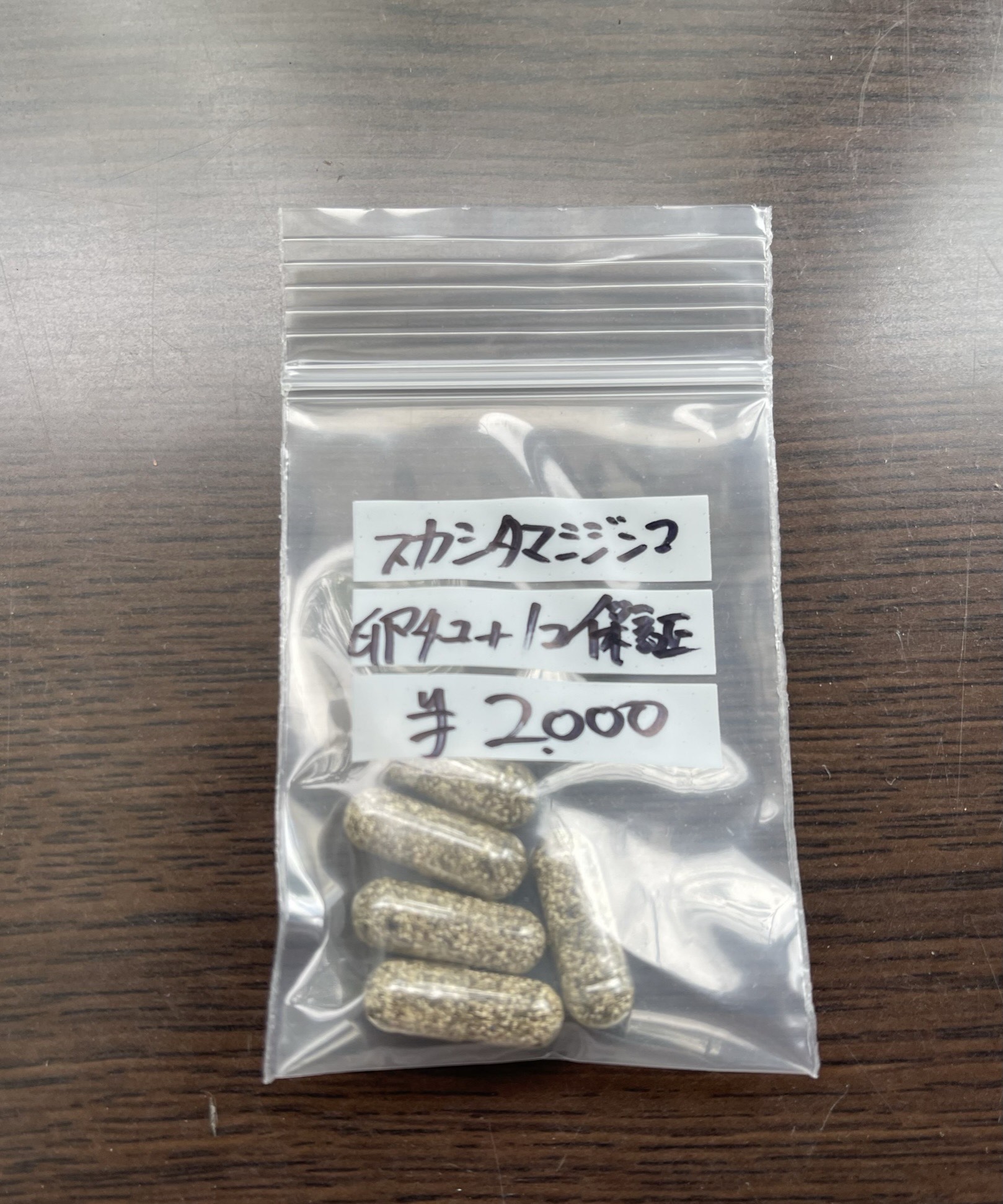 スカシタマミジンコ　休眠卵　