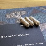 スカシタマミジンコ　休眠卵　