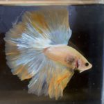 betta178