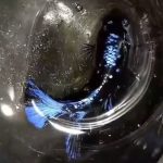 betta518