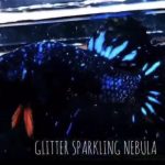 betta537