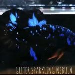 betta529