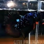 betta522