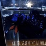 betta521
