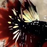 betta929